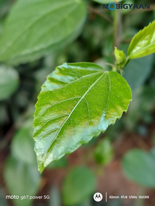 moto g67 Power 5G Review Camera Samples 12