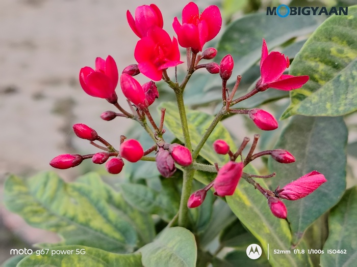 moto g67 Power 5G Review Camera Samples 18