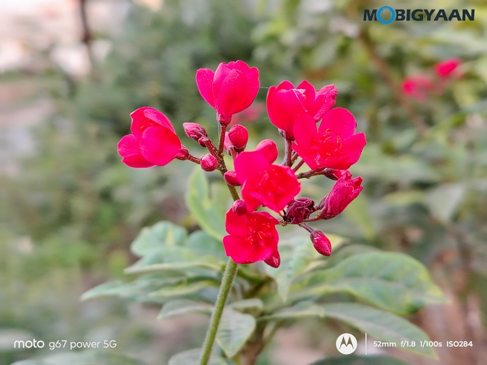 moto g67 Power 5G Review Camera Samples 22