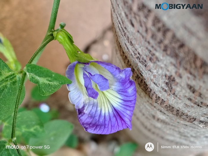 moto g67 Power 5G Review Camera Samples 3