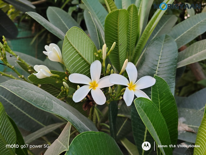 moto g67 Power 5G Review Camera Samples 31