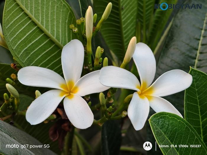 moto g67 Power 5G Review Camera Samples 32