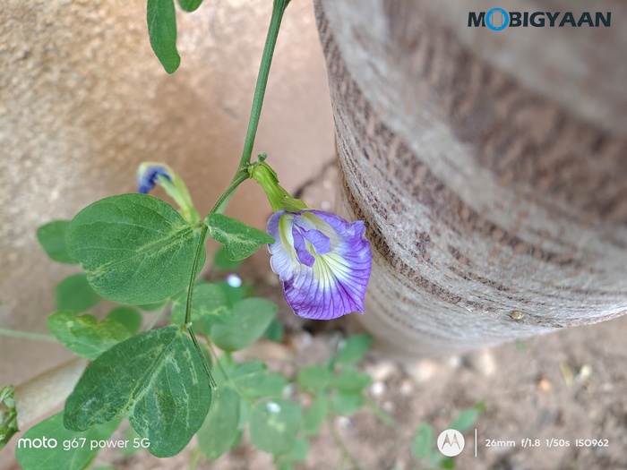moto g67 Power 5G Review Camera Samples 4