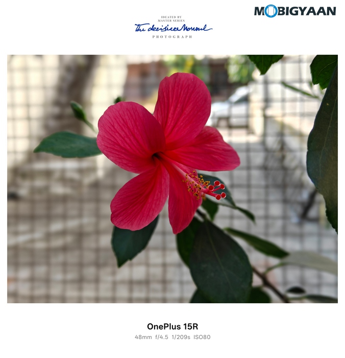 OnePlus 15R Review - Flagship Feel Without the Flagship Price 60 OnePlus 15R Review Camera Samples 10