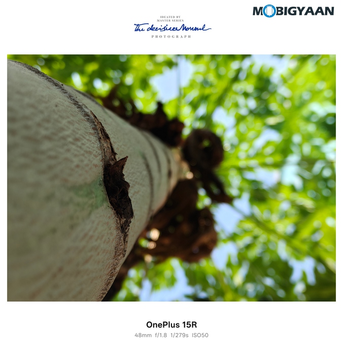 OnePlus 15R Review - Flagship Feel Without the Flagship Price 46 OnePlus 15R Review Camera Samples 12