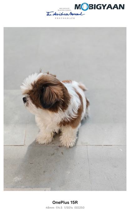 OnePlus 15R Review - Flagship Feel Without the Flagship Price 51 OnePlus 15R Review Camera Samples 15