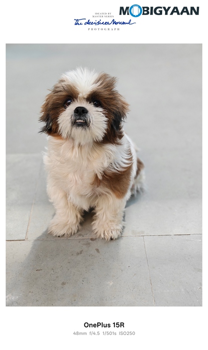 OnePlus 15R Review - Flagship Feel Without the Flagship Price 50 OnePlus 15R Review Camera Samples 16