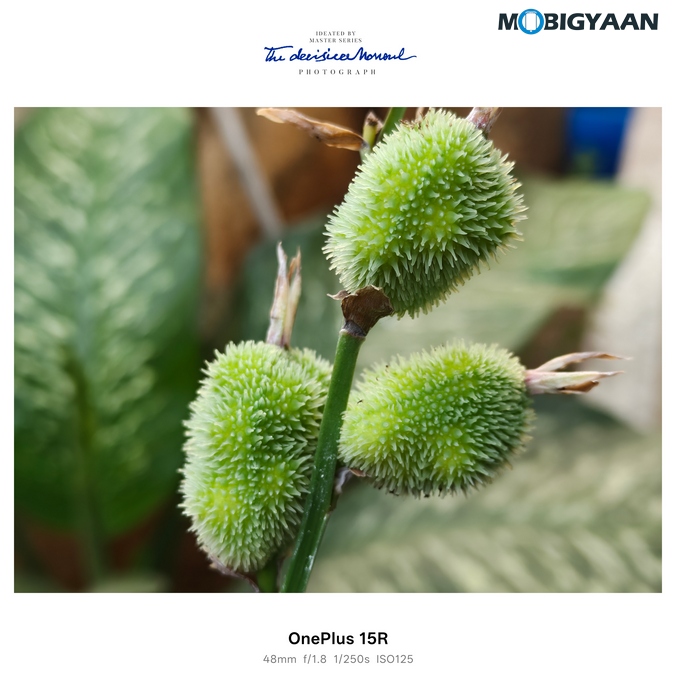 OnePlus 15R Review - Flagship Feel Without the Flagship Price 48 OnePlus 15R Review Camera Samples 17