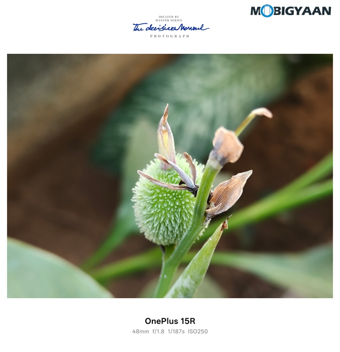 OnePlus 15R Review - Flagship Feel Without the Flagship Price 62 OnePlus 15R Review Camera Samples 18