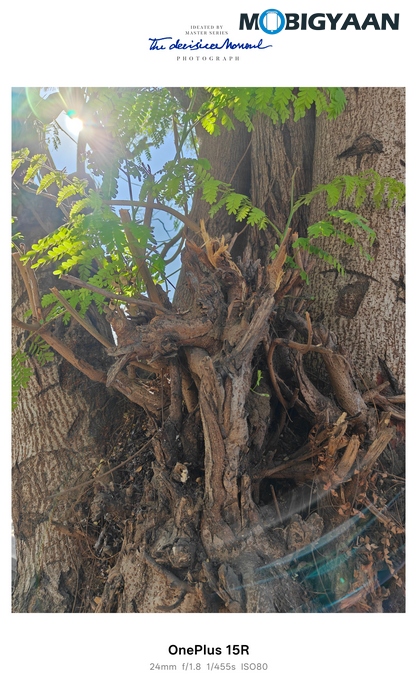 OnePlus 15R Review - Flagship Feel Without the Flagship Price 75 OnePlus 15R Review Camera Samples 21