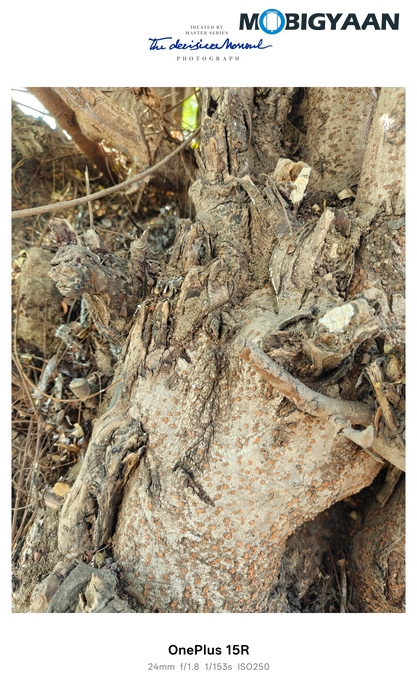 OnePlus 15R Review - Flagship Feel Without the Flagship Price 77 OnePlus 15R Review Camera Samples 22