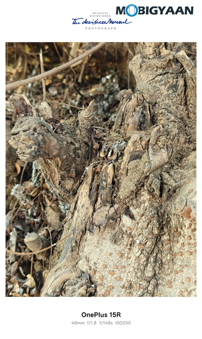 OnePlus 15R Review - Flagship Feel Without the Flagship Price 76 OnePlus 15R Review Camera Samples 23