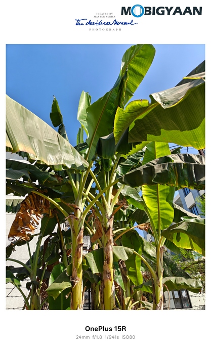 OnePlus 15R Review - Flagship Feel Without the Flagship Price 72 OnePlus 15R Review Camera Samples 24