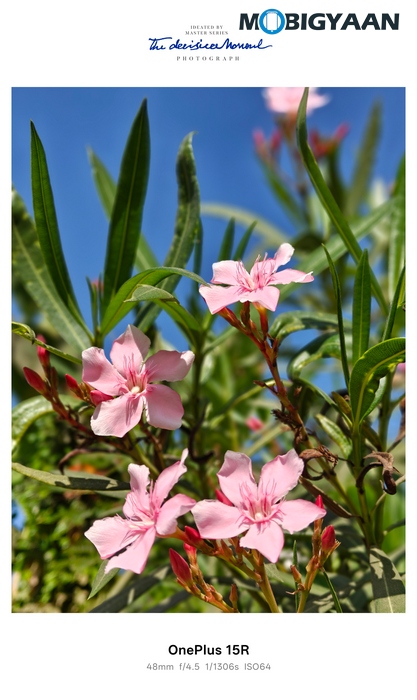 OnePlus 15R Review - Flagship Feel Without the Flagship Price 64 OnePlus 15R Review Camera Samples 25