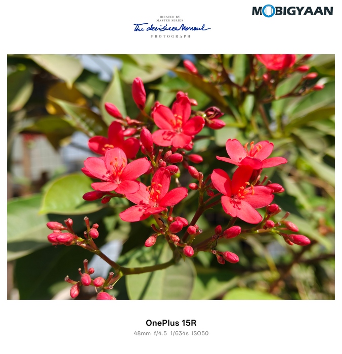 OnePlus 15R Review - Flagship Feel Without the Flagship Price 63 OnePlus 15R Review Camera Samples 26