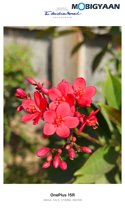 OnePlus 15R Review - Flagship Feel Without the Flagship Price 49 OnePlus 15R Review Camera Samples 27