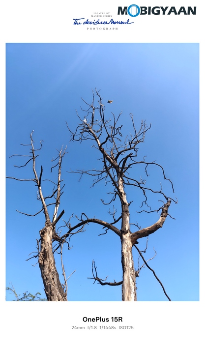 OnePlus 15R Review - Flagship Feel Without the Flagship Price 58 OnePlus 15R Review Camera Samples 37