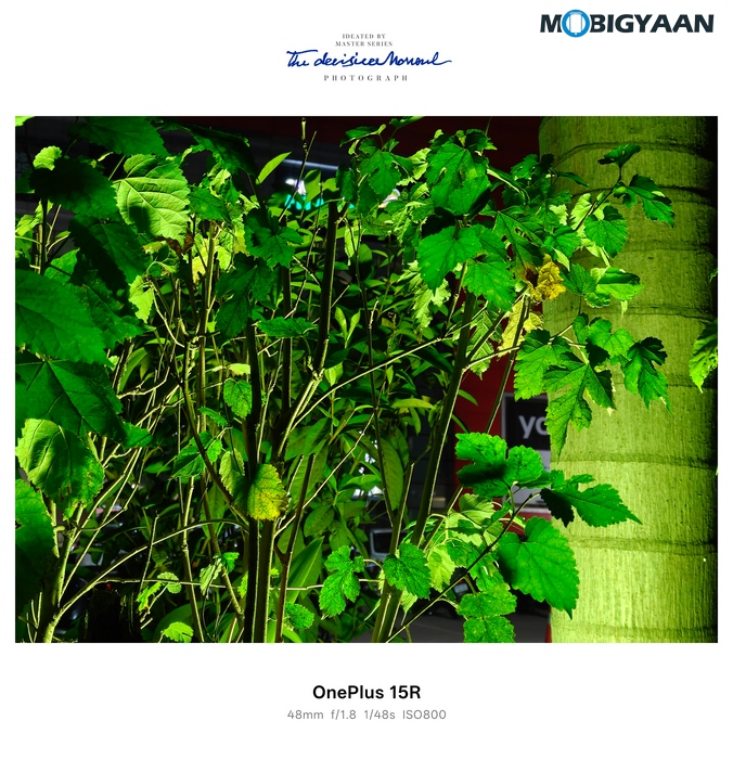 OnePlus 15R Review - Flagship Feel Without the Flagship Price 71 OnePlus 15R Review Camera Samples 6