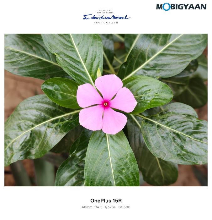 OnePlus 15R Review - Flagship Feel Without the Flagship Price 74 OnePlus 15R Review Camera Samples 7