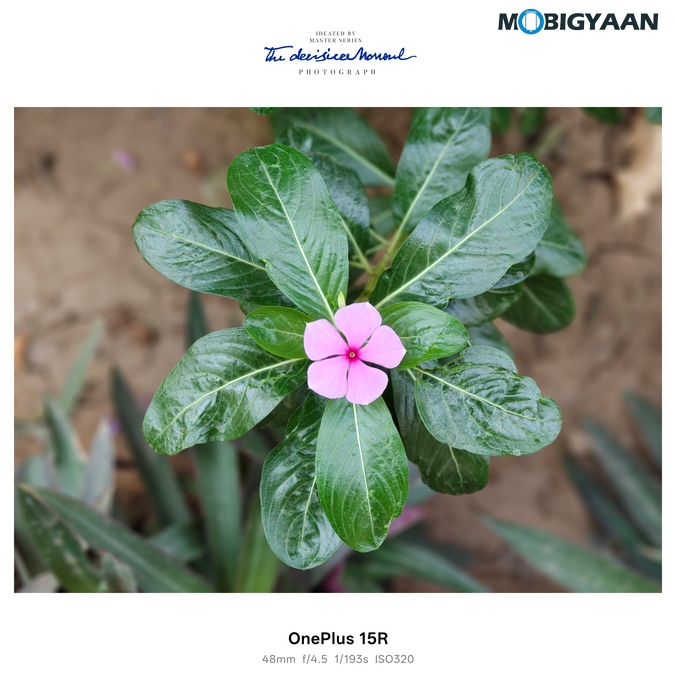 OnePlus 15R Review - Flagship Feel Without the Flagship Price 73 OnePlus 15R Review Camera Samples 8