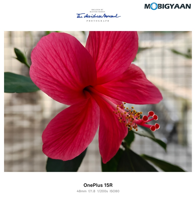 OnePlus 15R Review - Flagship Feel Without the Flagship Price 61 OnePlus 15R Review Camera Samples 9