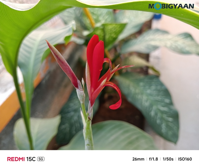 REDMI 15C 5G Review - Xiaomi's New Big-Screen Budget Beast 46 Redmi 15C 5G Review Camera Samples 1