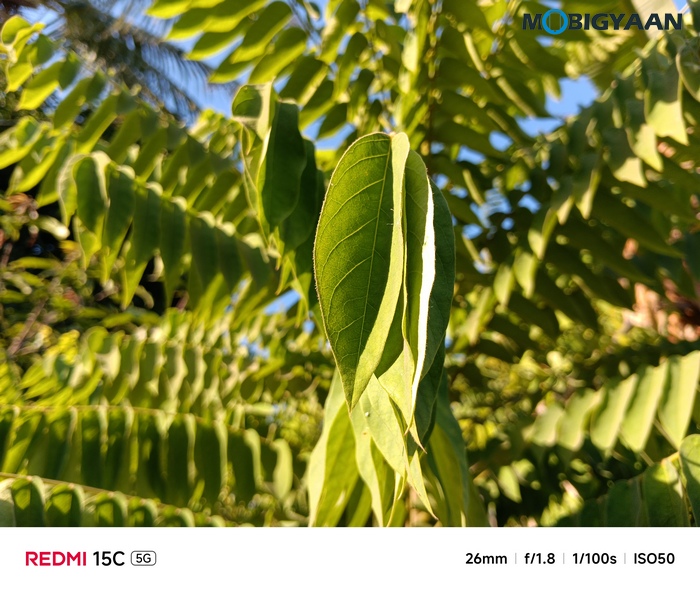 REDMI 15C 5G Review - Xiaomi's New Big-Screen Budget Beast 44 Redmi 15C 5G Review Camera Samples 10