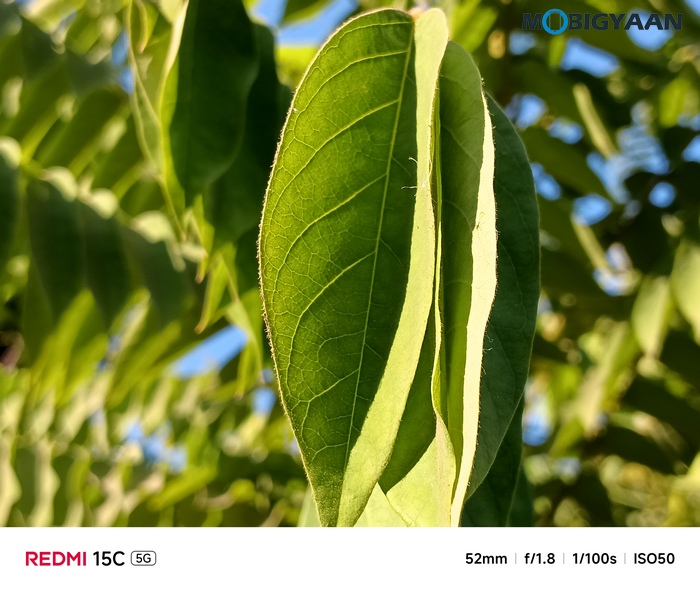 REDMI 15C 5G Review - Xiaomi's New Big-Screen Budget Beast 45 Redmi 15C 5G Review Camera Samples 11