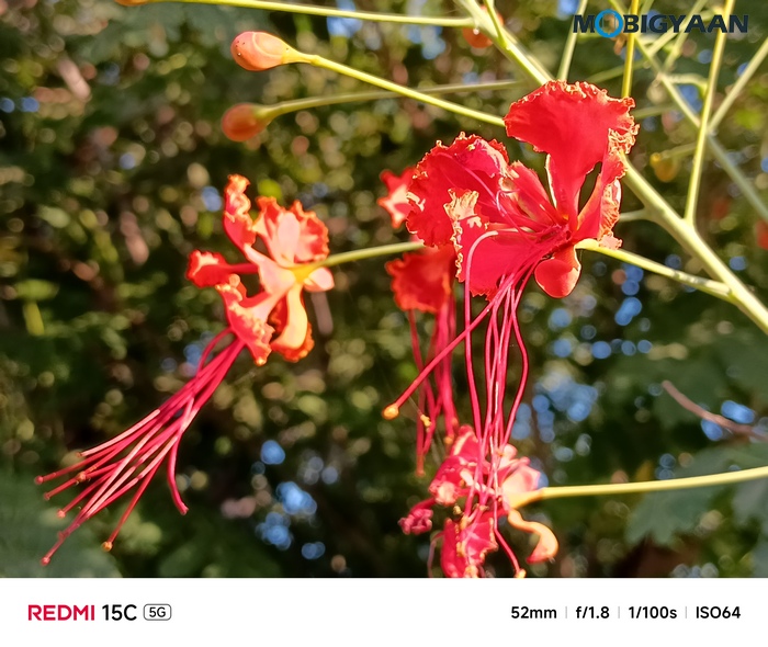 REDMI 15C 5G Review - Xiaomi's New Big-Screen Budget Beast 47 Redmi 15C 5G Review Camera Samples 13