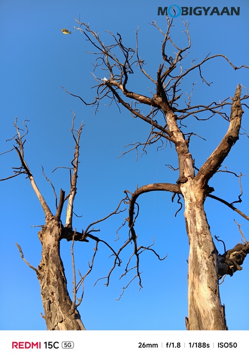 REDMI 15C 5G Review - Xiaomi's New Big-Screen Budget Beast 43 Redmi 15C 5G Review Camera Samples 14