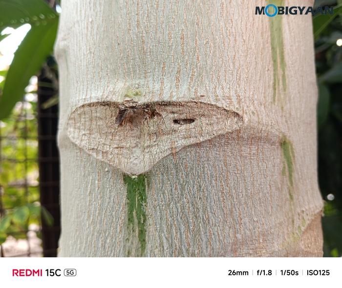 REDMI 15C 5G Review - Xiaomi's New Big-Screen Budget Beast 37 Redmi 15C 5G Review Camera Samples 2