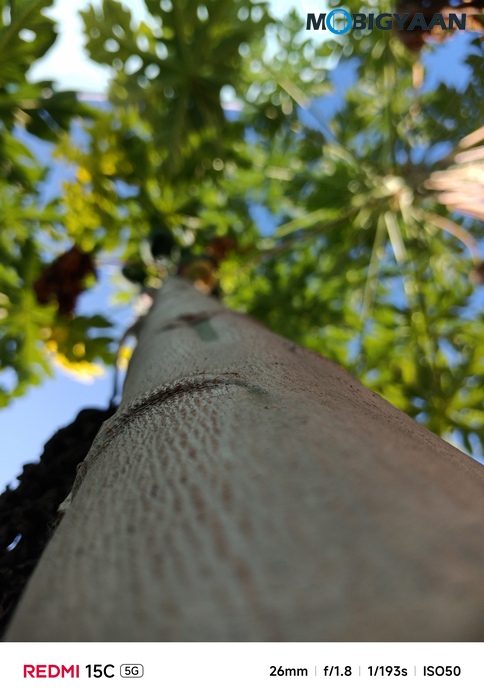 REDMI 15C 5G Review - Xiaomi's New Big-Screen Budget Beast 34 Redmi 15C 5G Review Camera Samples 3