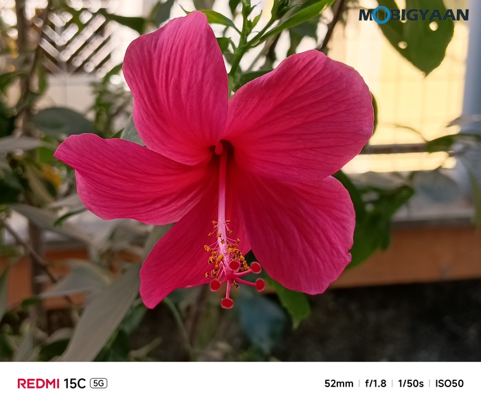 REDMI 15C 5G Review - Xiaomi's New Big-Screen Budget Beast 35 Redmi 15C 5G Review Camera Samples 4