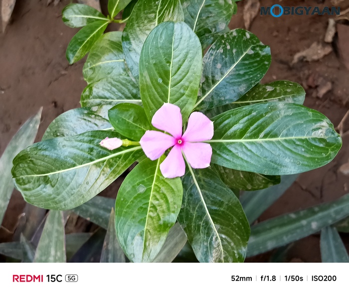 REDMI 15C 5G Review - Xiaomi's New Big-Screen Budget Beast 36 Redmi 15C 5G Review Camera Samples 6