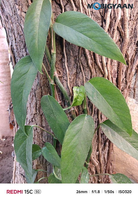 Redmi 15C 5G Review Camera Samples 7