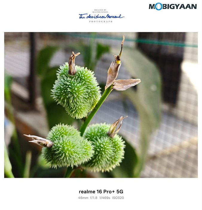 realme 16 Pro 5G Review Camera Samples 5