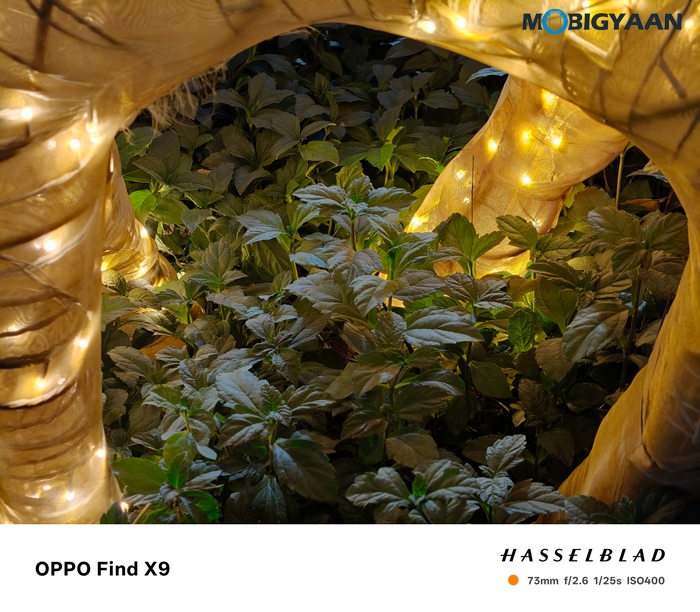 OPPO Find X9 Review Camera Samples 2