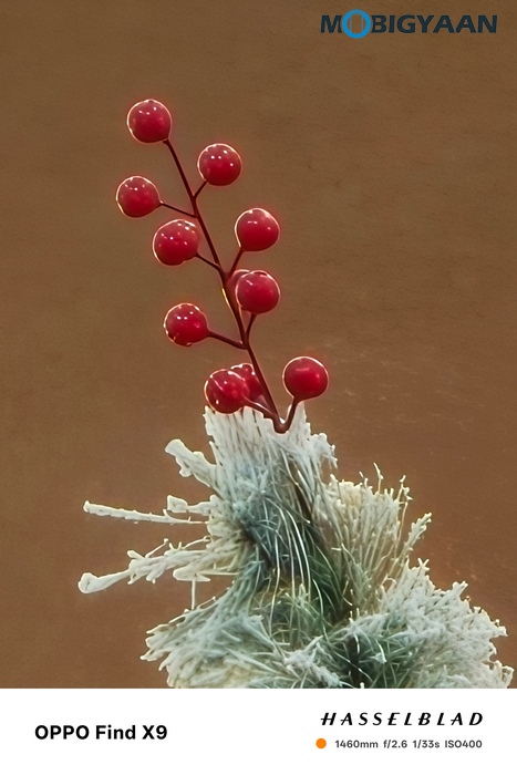 OPPO Find X9 Review Camera Samples 27