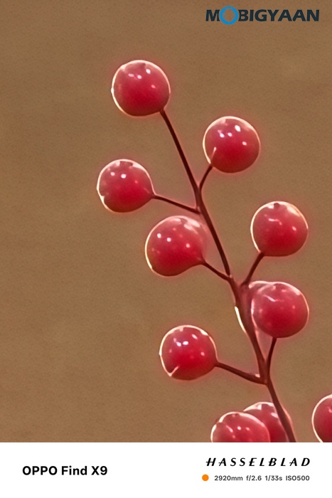 OPPO Find X9 Review Camera Samples 28