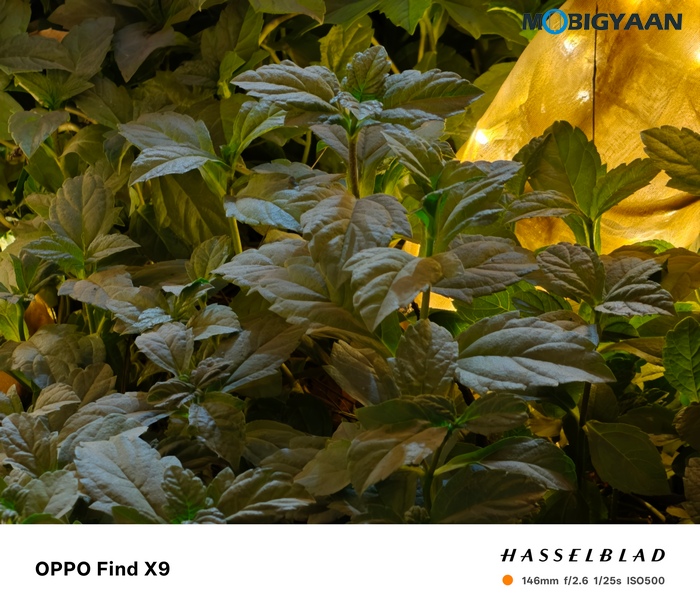 OPPO Find X9 Review Camera Samples 3