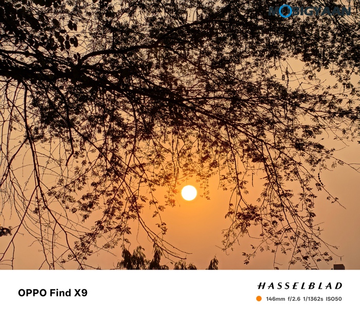 OPPO Find X9 Review Camera Samples 32