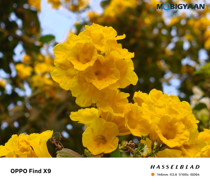OPPO Find X9 Review Camera Samples 39