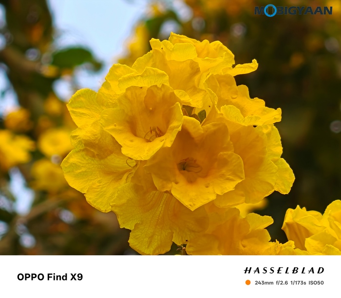 OPPO Find X9 Review Camera Samples 40