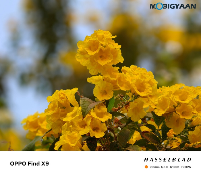 OPPO Find X9 Review Camera Samples 41