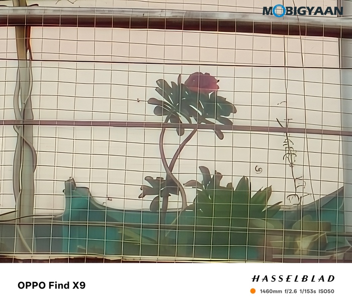 OPPO Find X9 Review Camera Samples 48