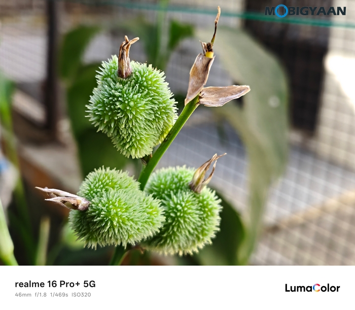 realme 16 Pro 5G Review Camera Samples 10