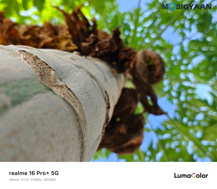 realme 16 Pro 5G Review Camera Samples 12