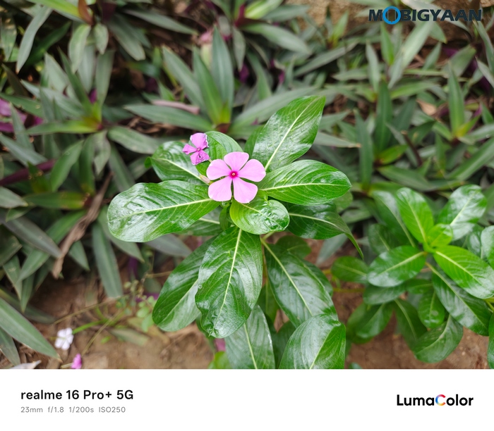 realme 16 Pro 5G Review Camera Samples 14
