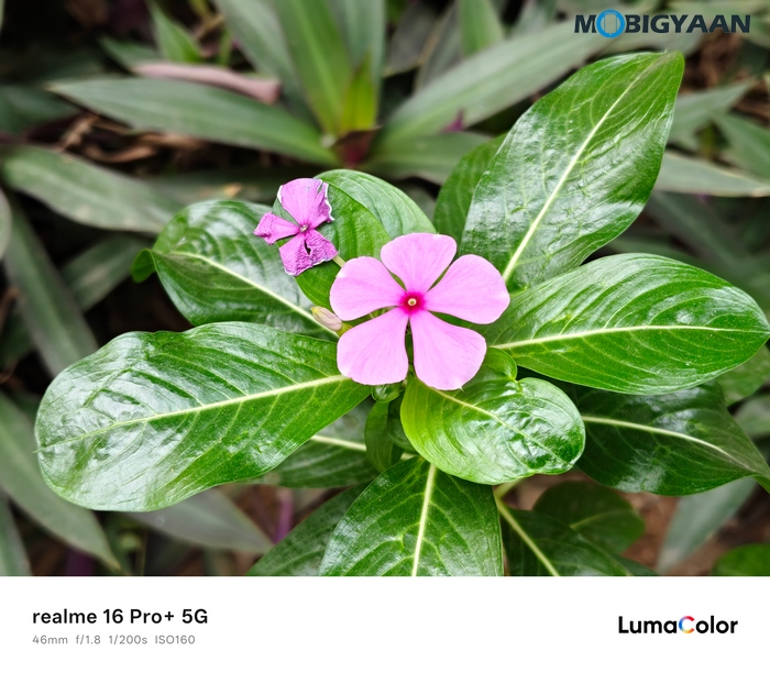 realme 16 Pro 5G Review Camera Samples 15