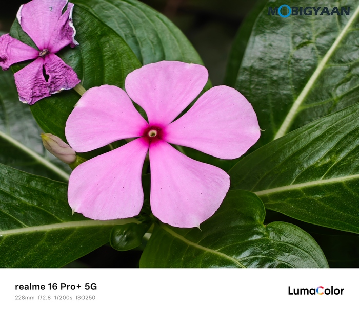 realme 16 Pro 5G Review Camera Samples 16